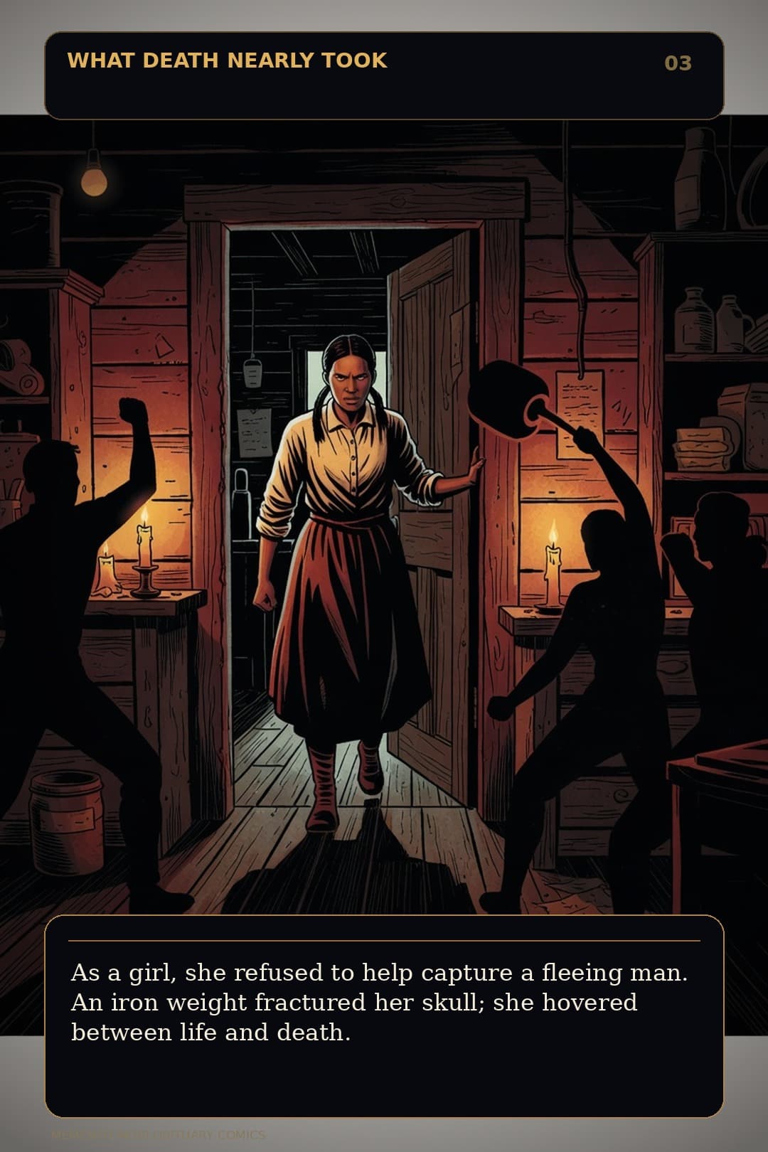 Page 3 of Harriet Tubman: Harriet Tubman: The Road Back
